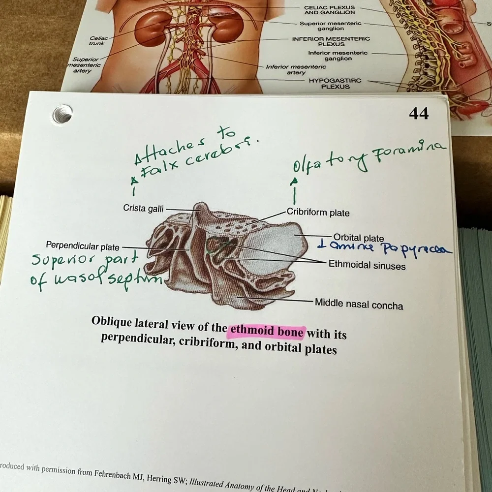 INBDE STUDY MATERIALS -Everything needed to pass: Dental Decks, Mosby ll, Dentin